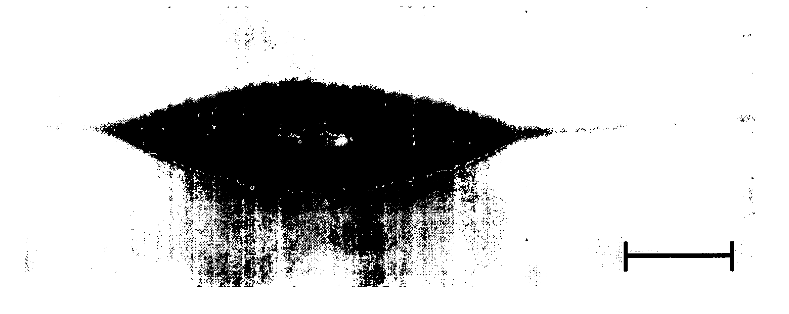 Chemical probe using field-induced droplet ionization mass spectrometry