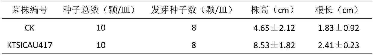 Streptomyces Phaeochromogenes SICAU417 and application thereof