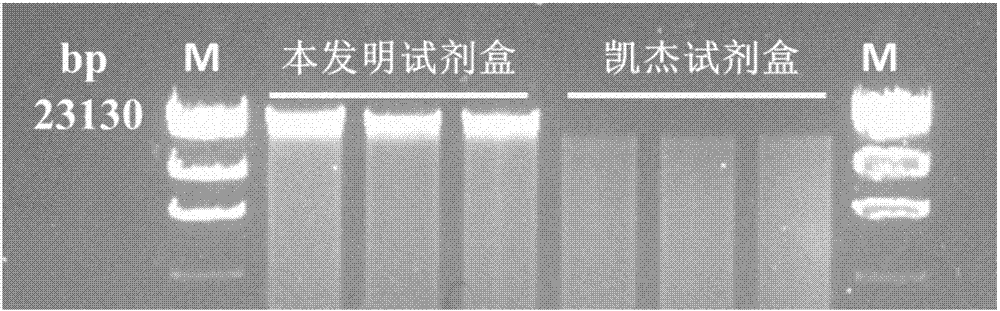 Body fluid suspension cell DNA extracting kit and extracting method