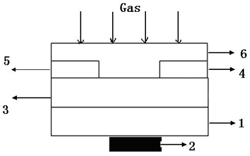 Methane gas sensor on basis of organic thin film transistor and preparation method of methane gas sensor