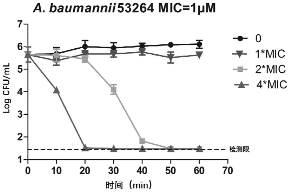 Application of gold compounds in the preparation of antibacterial agents