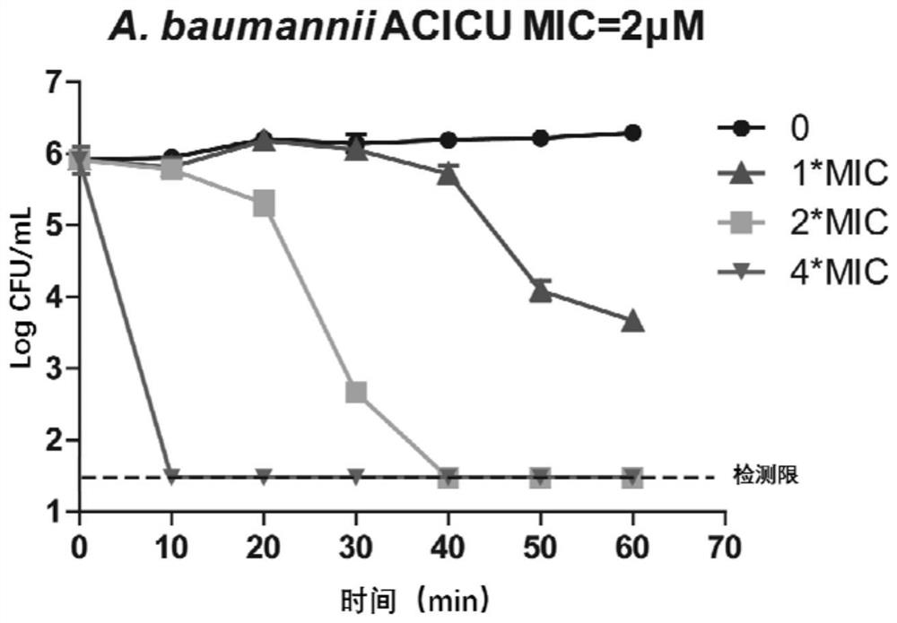 Application of gold compounds in the preparation of antibacterial agents