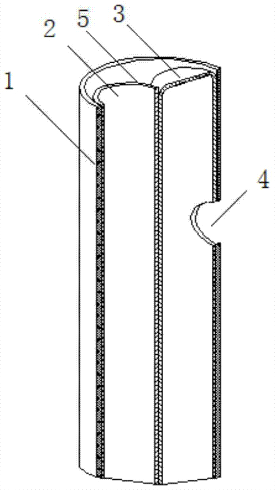 A dual-mode cardiac in situ perfusion system