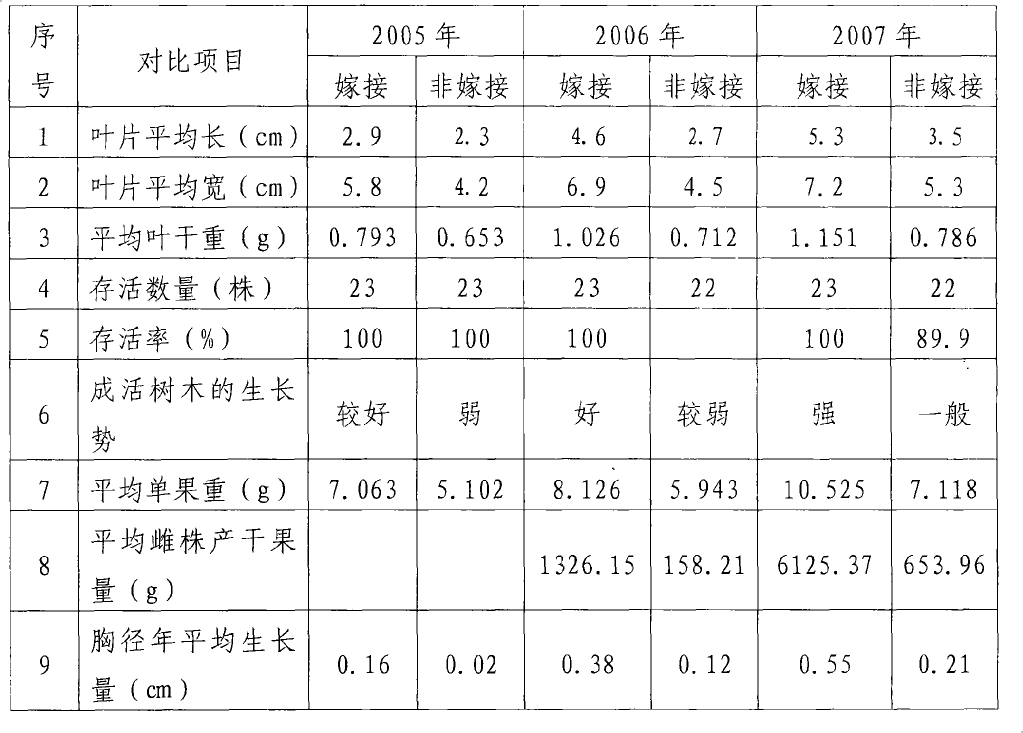 Method for transplanting large size ginko and grafting root