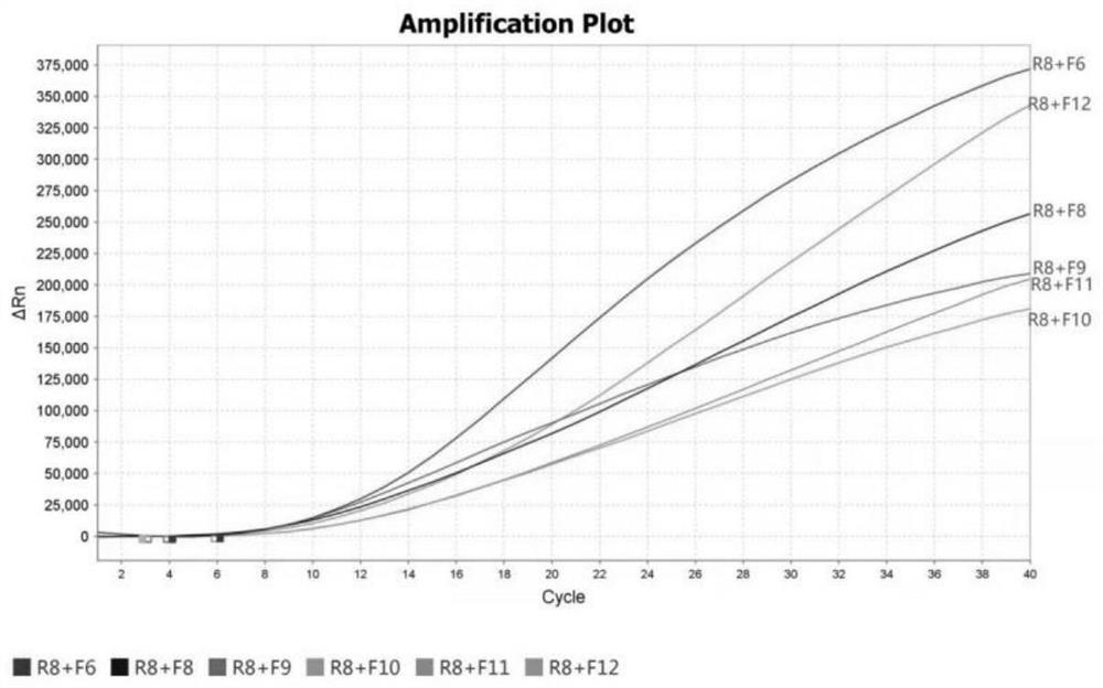 Probe, kit and detection method for rapidly detecting nosema bombycis