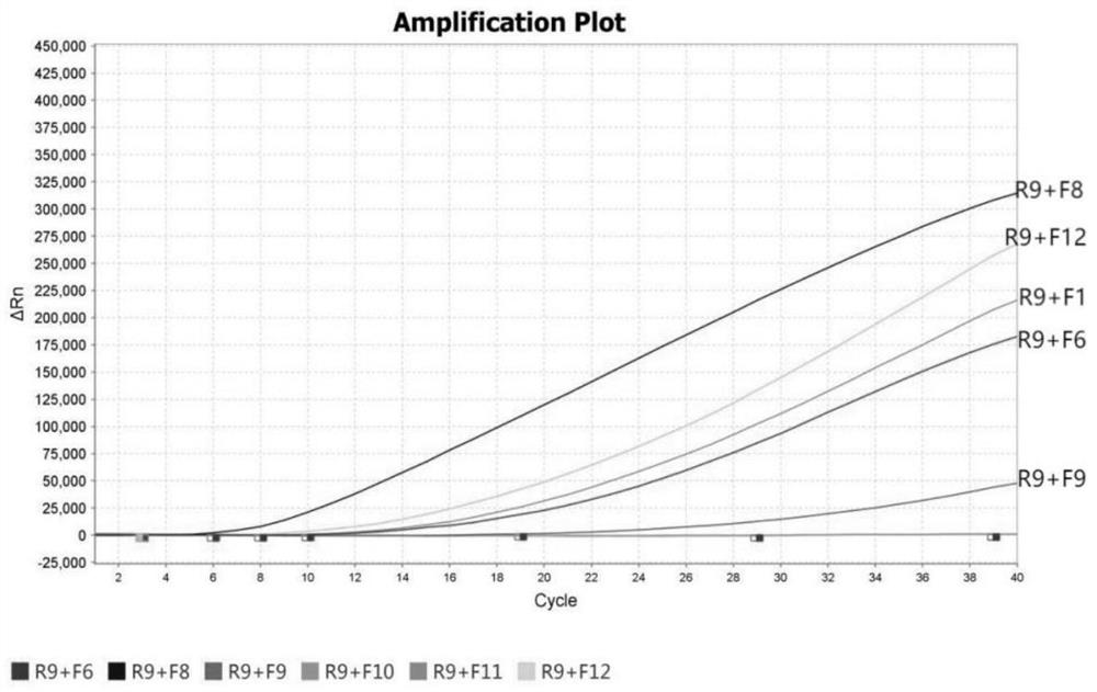 Probe, kit and detection method for rapidly detecting nosema bombycis