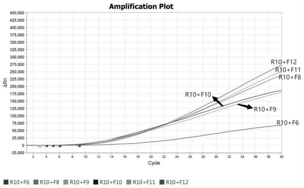 Probe, kit and detection method for rapidly detecting nosema bombycis