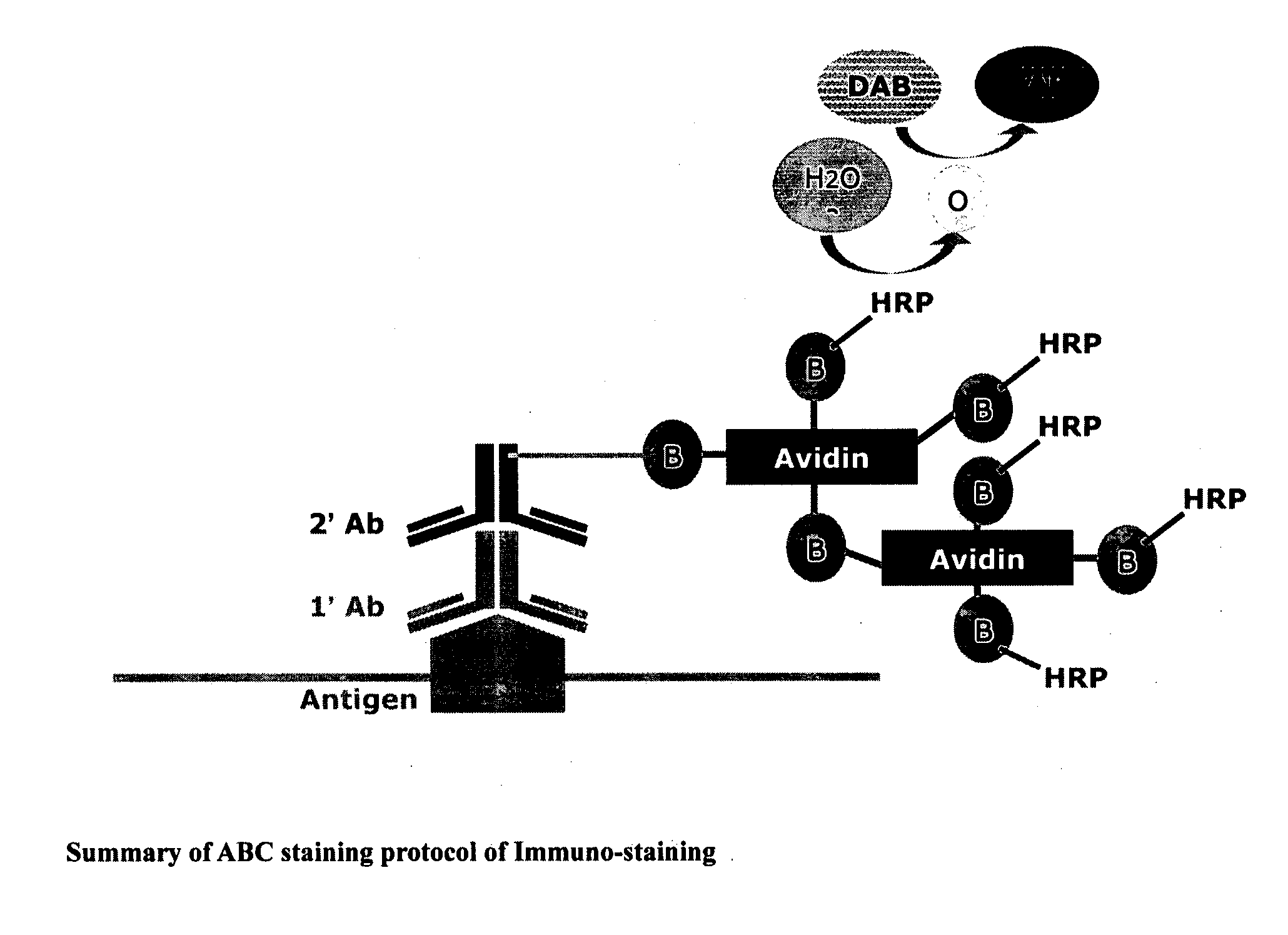 Compositions and methods for treating cancer