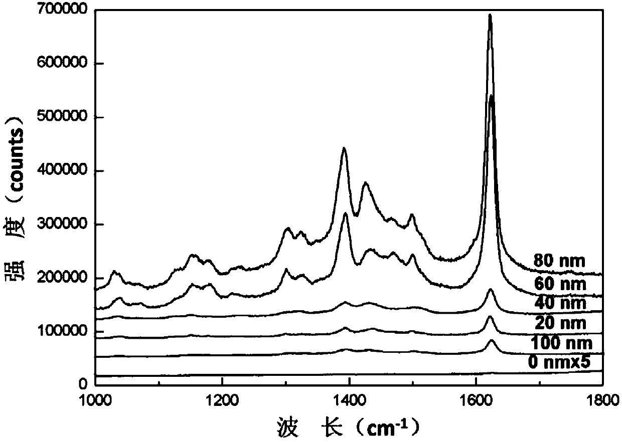 Preparation of SERS substrate and application of SERS substrate to cancer detection