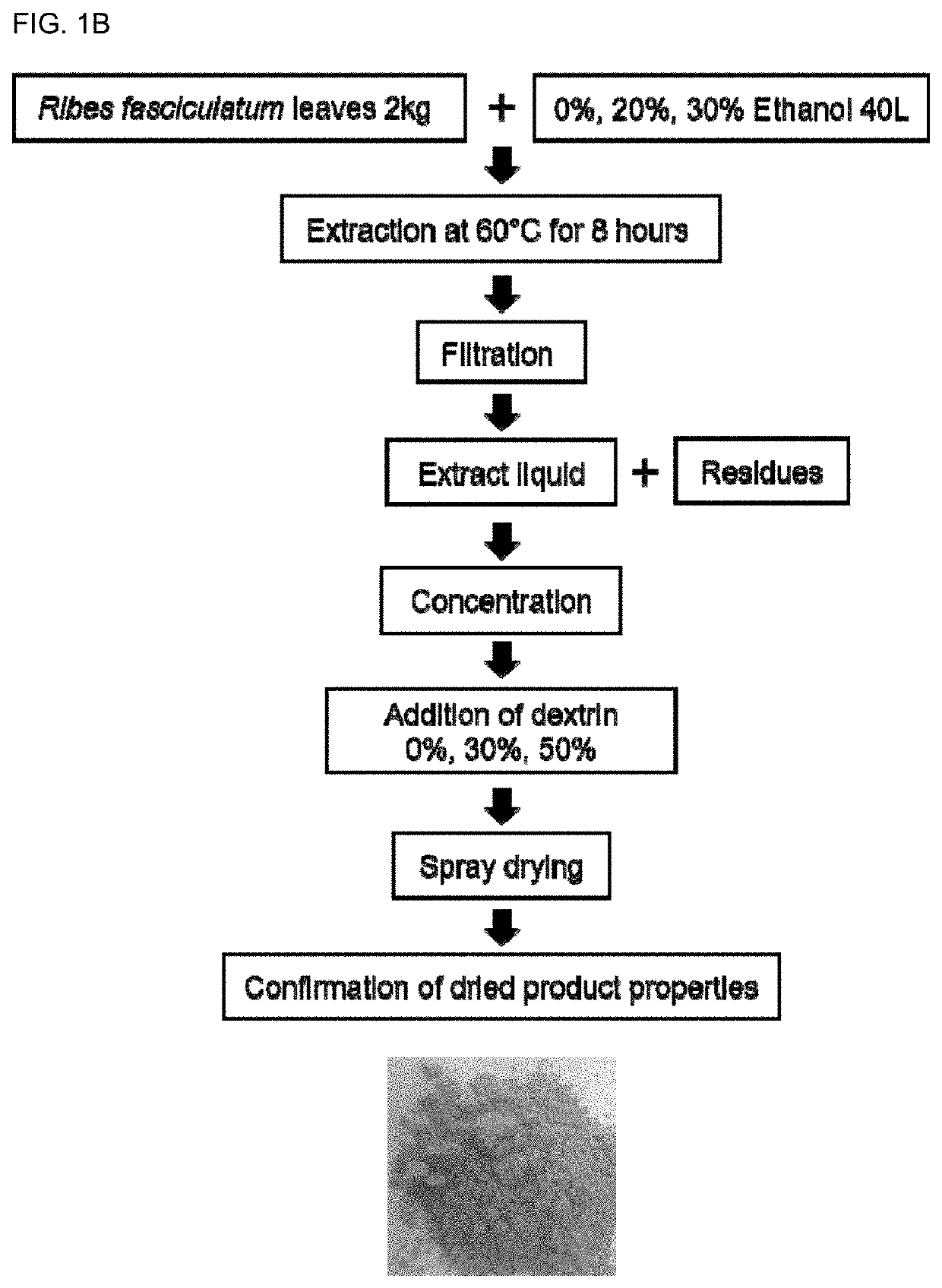 Composition for preventing, improving or treating female menopausal disease