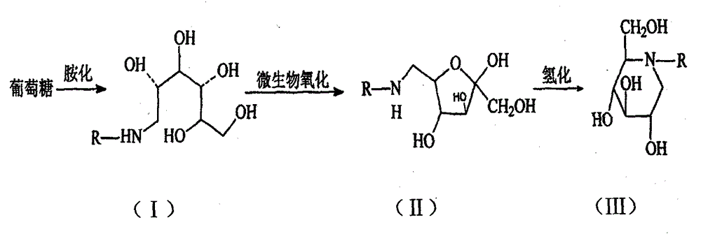 Method for increasing Gluconobacter oxydans biomass by fermenting with oxygen-carrier-added culture medium