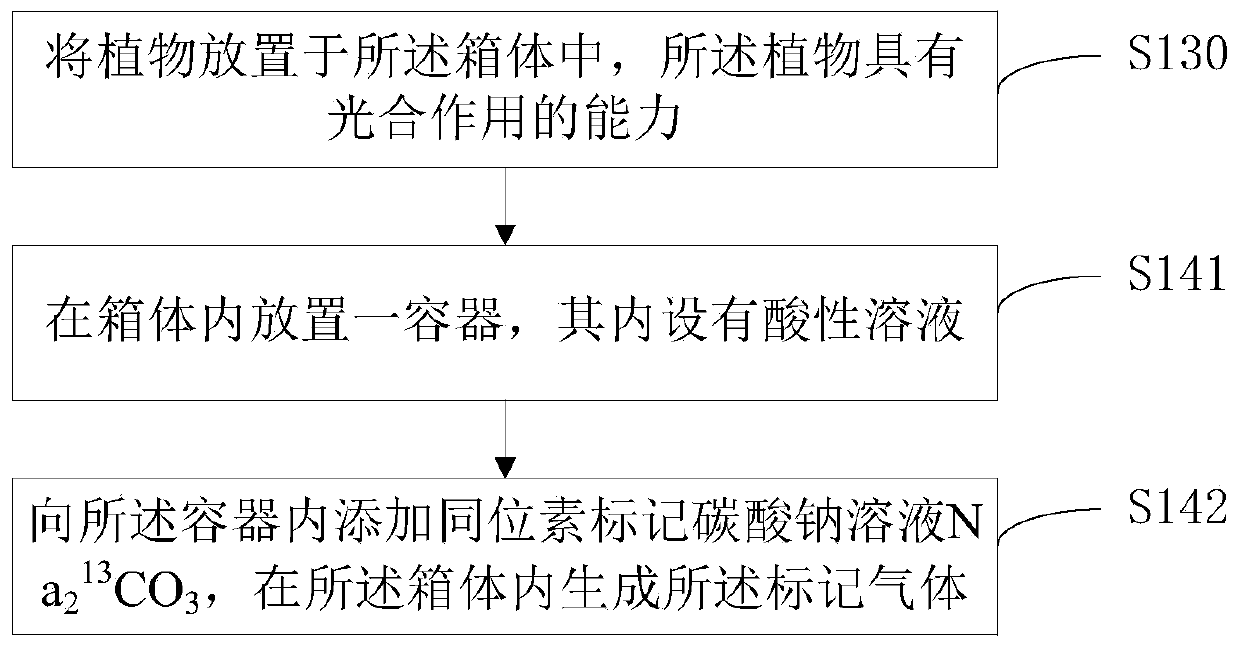 Preparation method of marked plant and preparation method of marked biochar