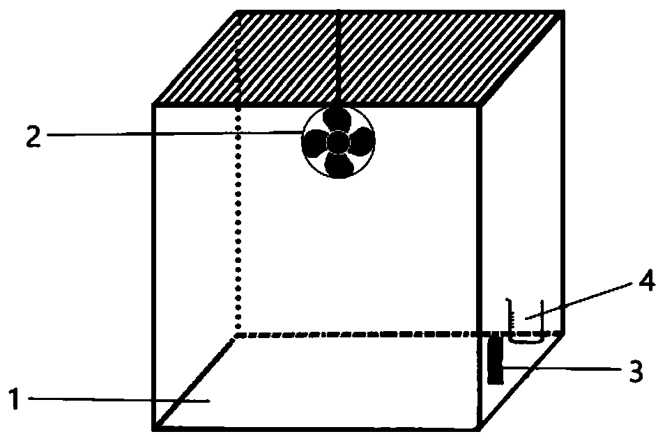 Preparation method of marked plant and preparation method of marked biochar