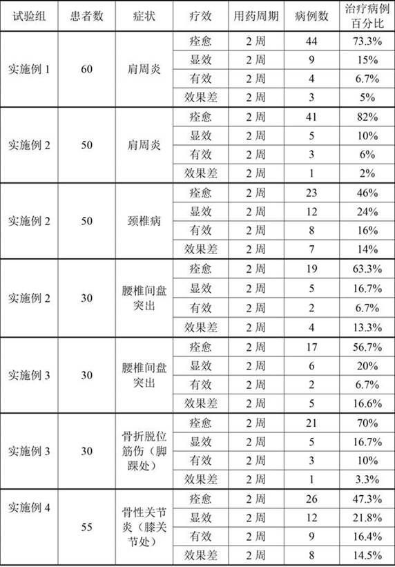 External Chinese medicinal composition for treating frozen shoulder, cervical spondylosis, lumbar disc herniation and osteoarthritis