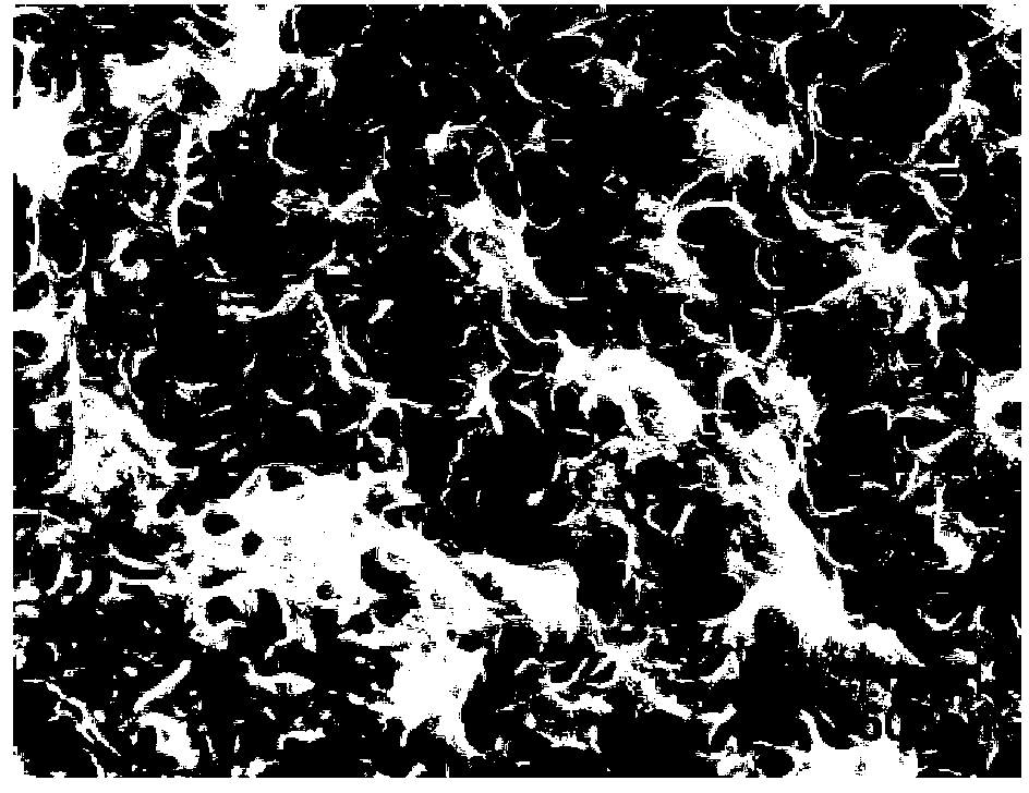 Lignin-based porous carbon material and preparation method thereof