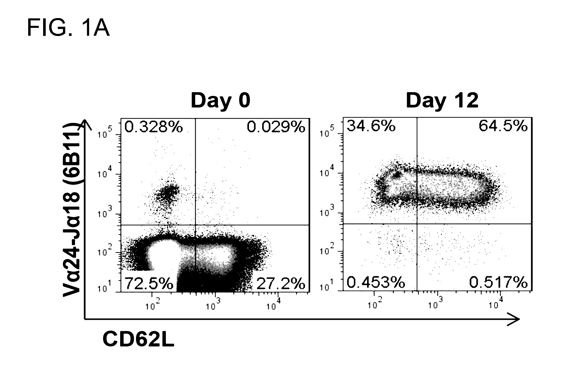 Nkt-cell subset for in vivo persistence and therapeutic activity and propagation of same