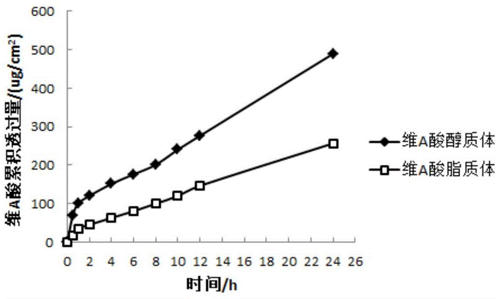 Tretinoin ethosomes gel and preparation method thereof