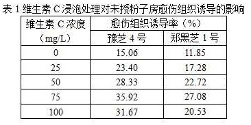 Sesamum indicum unpollinated ovary in-vitro culture callus induction method