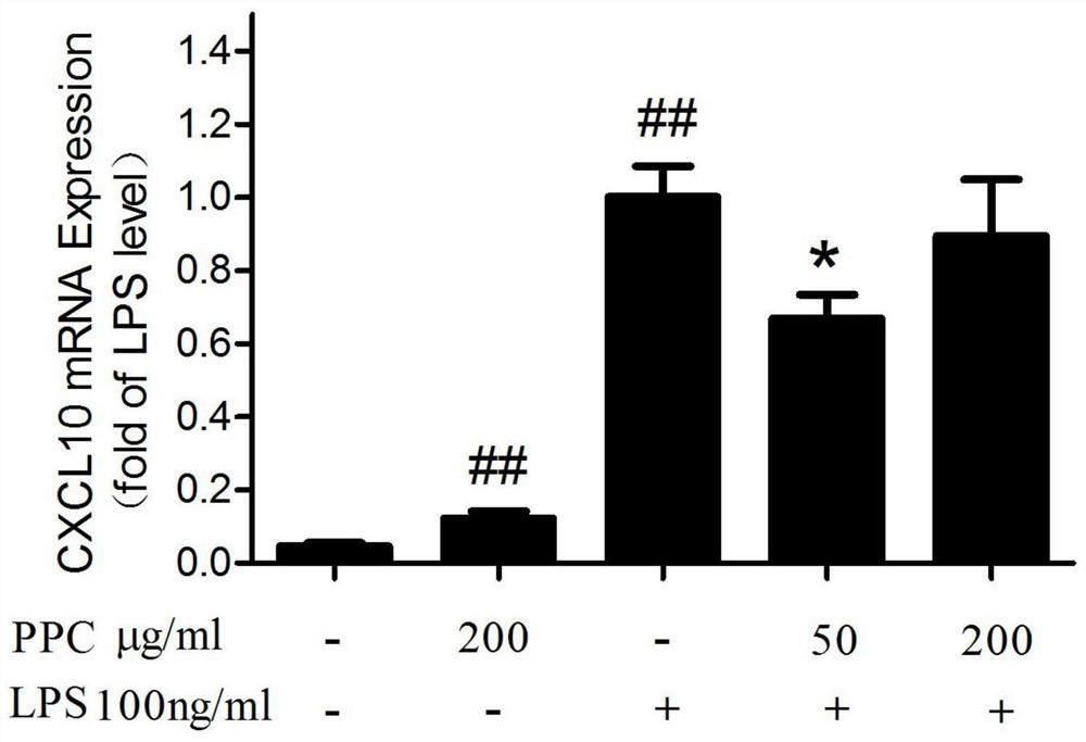 Application of saffron petal total polysaccharides in the preparation of anti-inflammatory drugs