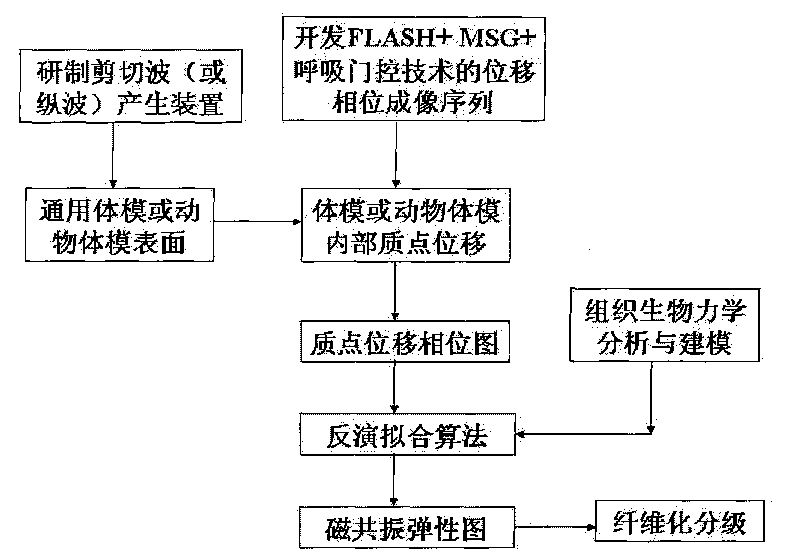 Magnetic resonance elastography detection system of liver fibrosis classification research and method thereof