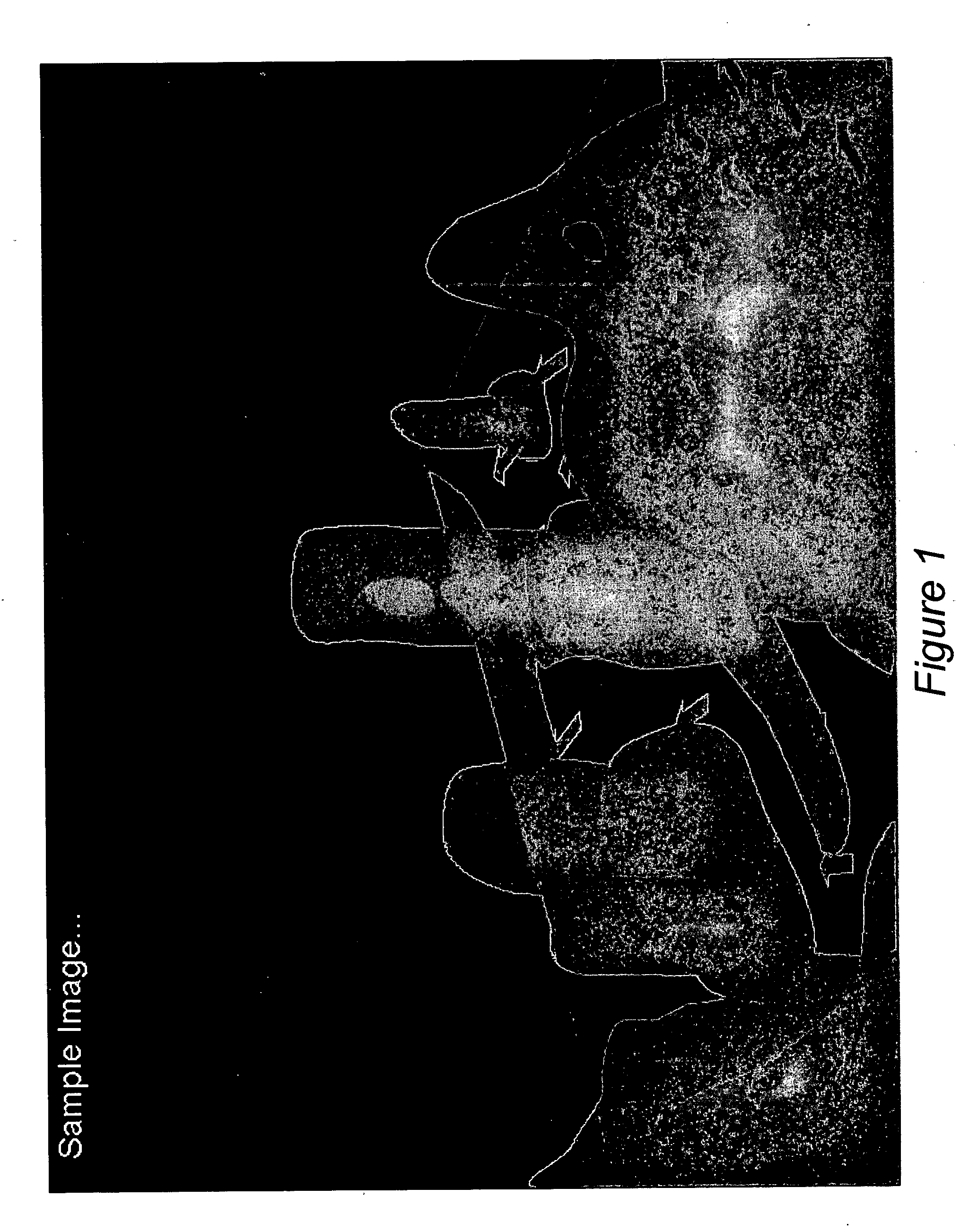 Narrow field abstract meta-data image compression