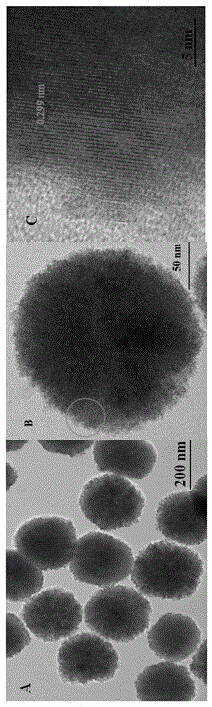 Ferric oxide nano-cluster mimic enzyme, preparation method and method for rapid detection of lactic acid