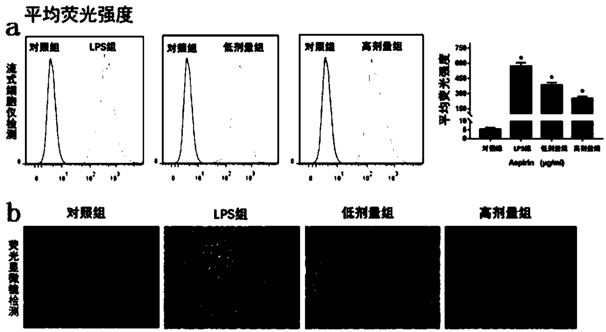 Application of aspirin in preparation of drugs for treating IVDD (intervertebral disc degeneration)