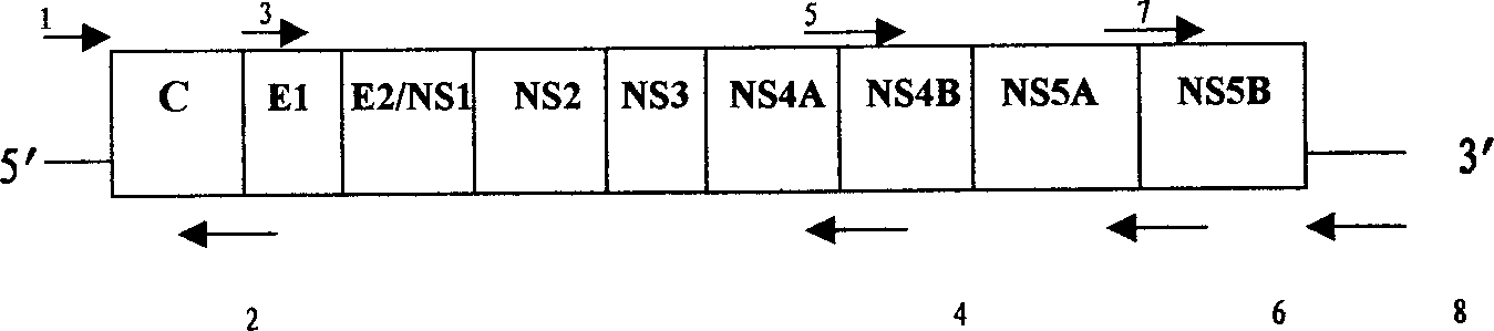 Hepatitis C virus and its external cell culture method