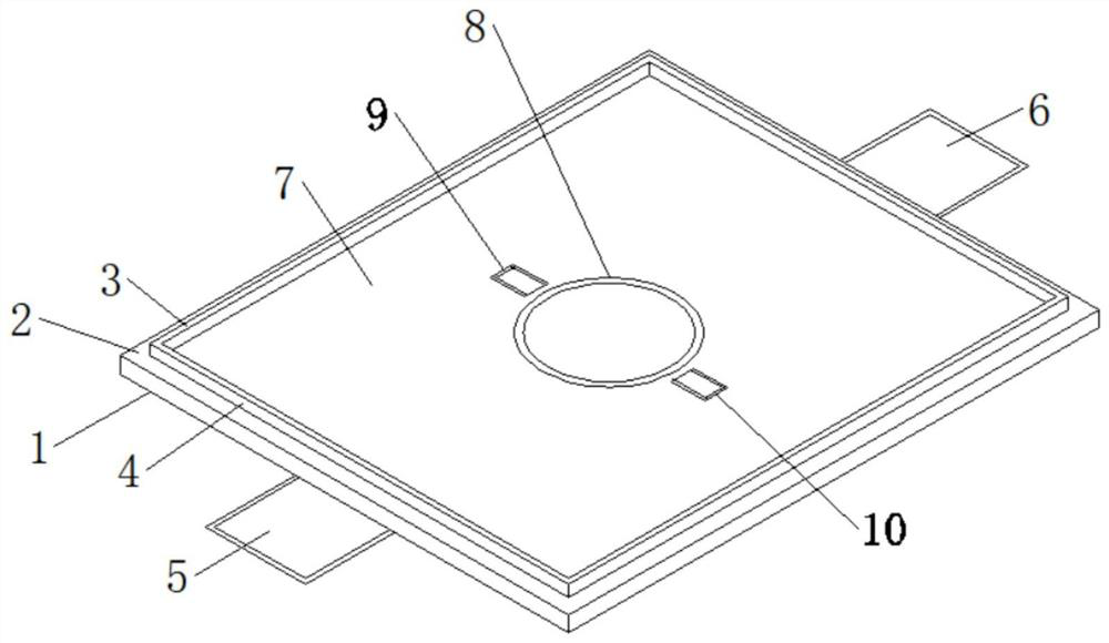 Tumor protection sleeve for colon cancer surgery