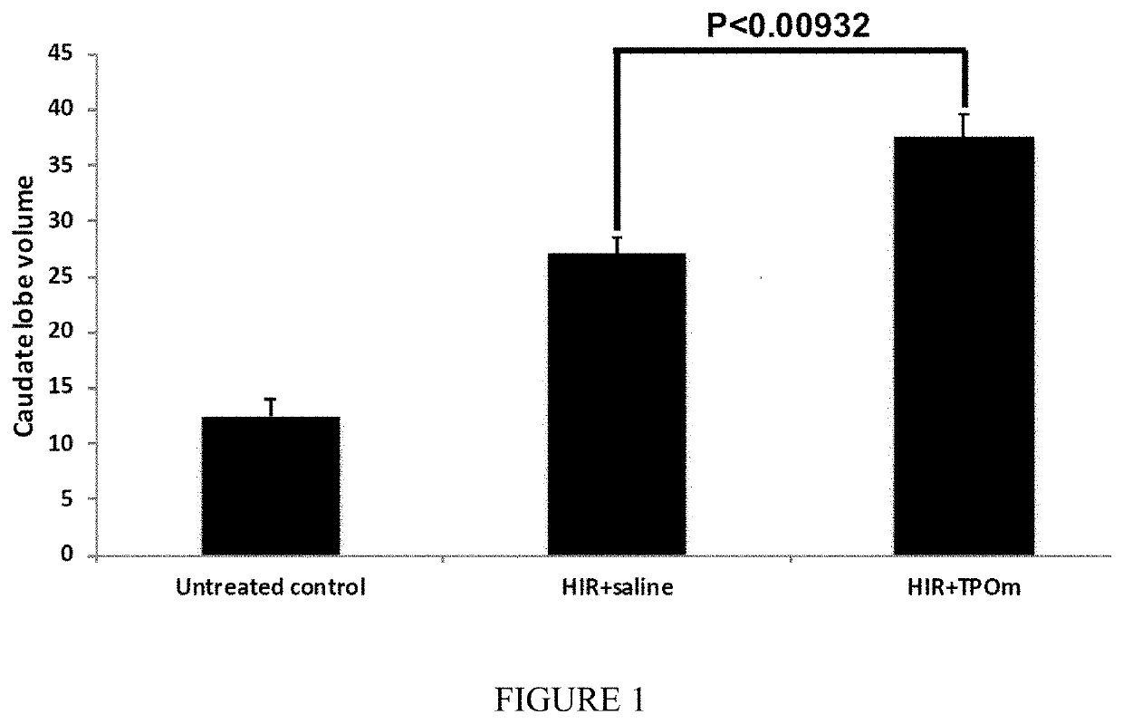 Methods for mitigating liver injury and promoting liver hypertrophy, regeneration and cell engraftment in conjunction with radiation and/or radiomimetic treatments