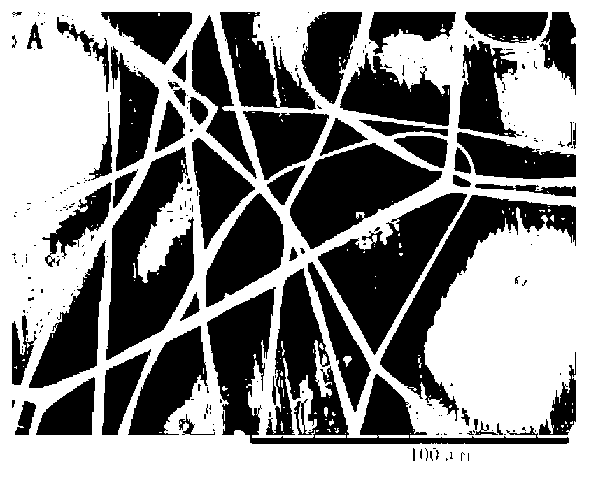 Preparation method of galactose vinyl ester/isopropyl acrylamide copolymer nanofiber membrane