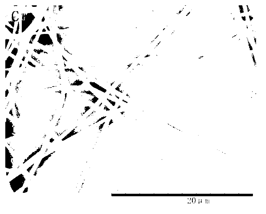 Preparation method of galactose vinyl ester/isopropyl acrylamide copolymer nanofiber membrane