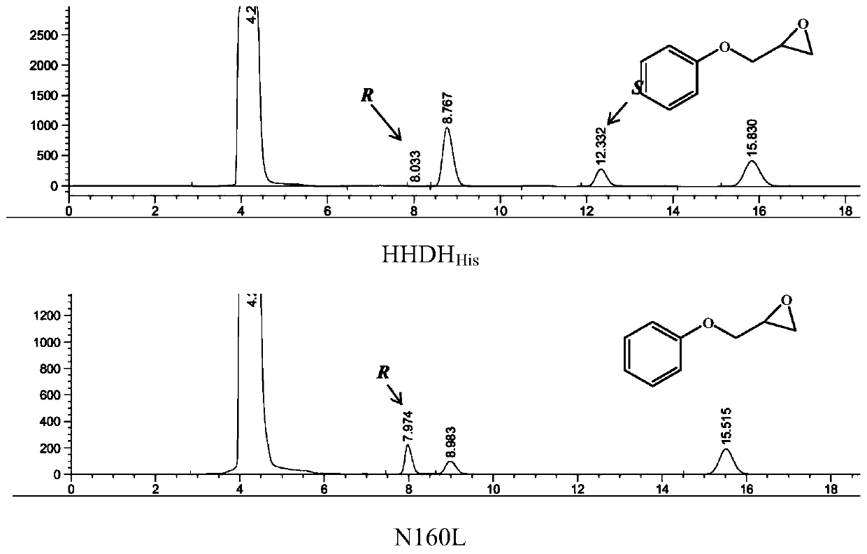 Halohydrin dehalogenase mutant and application thereof