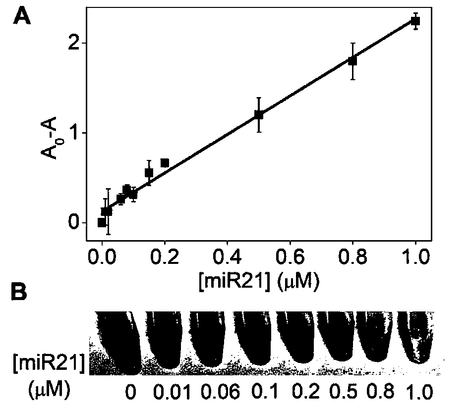 Detection method for visual recognition of microRNA (Ribonucleic Acid) on the basis of G-quadruplex probe structure unwinding