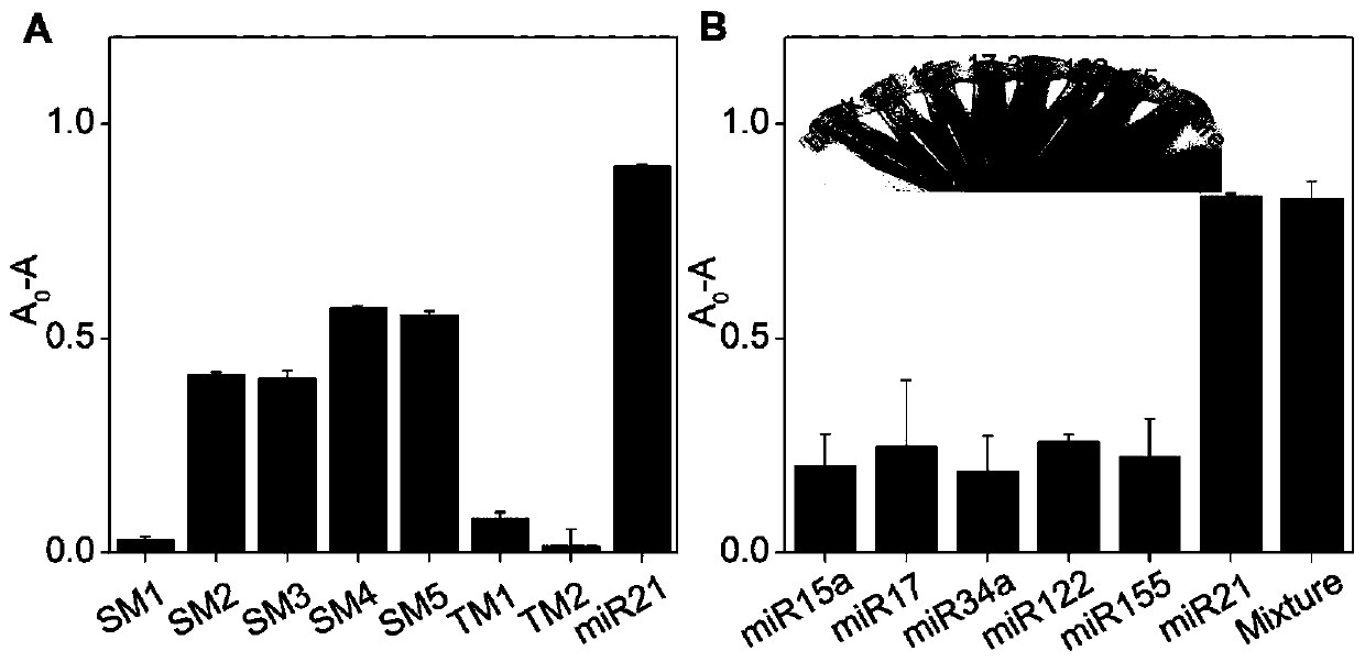 Detection method for visual recognition of microRNA (Ribonucleic Acid) on the basis of G-quadruplex probe structure unwinding