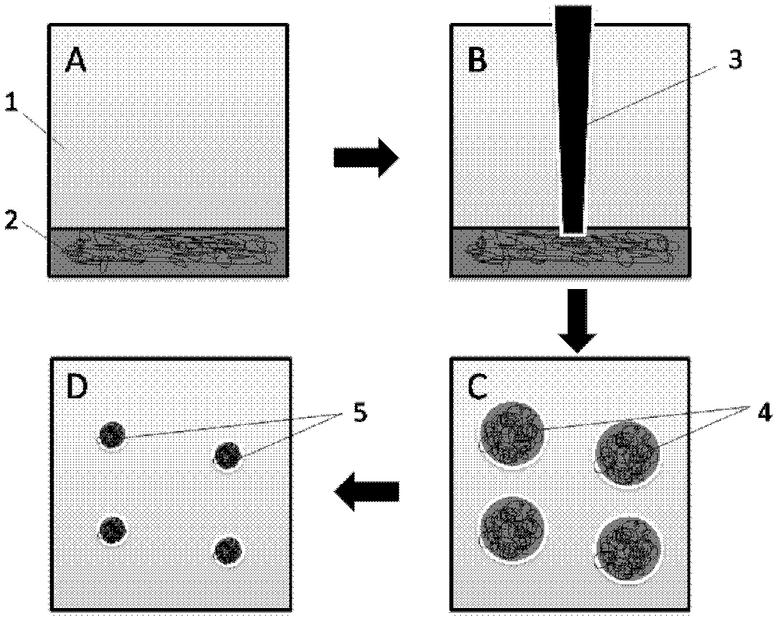 Paclitaxel polymer nanoparticle and preparation method