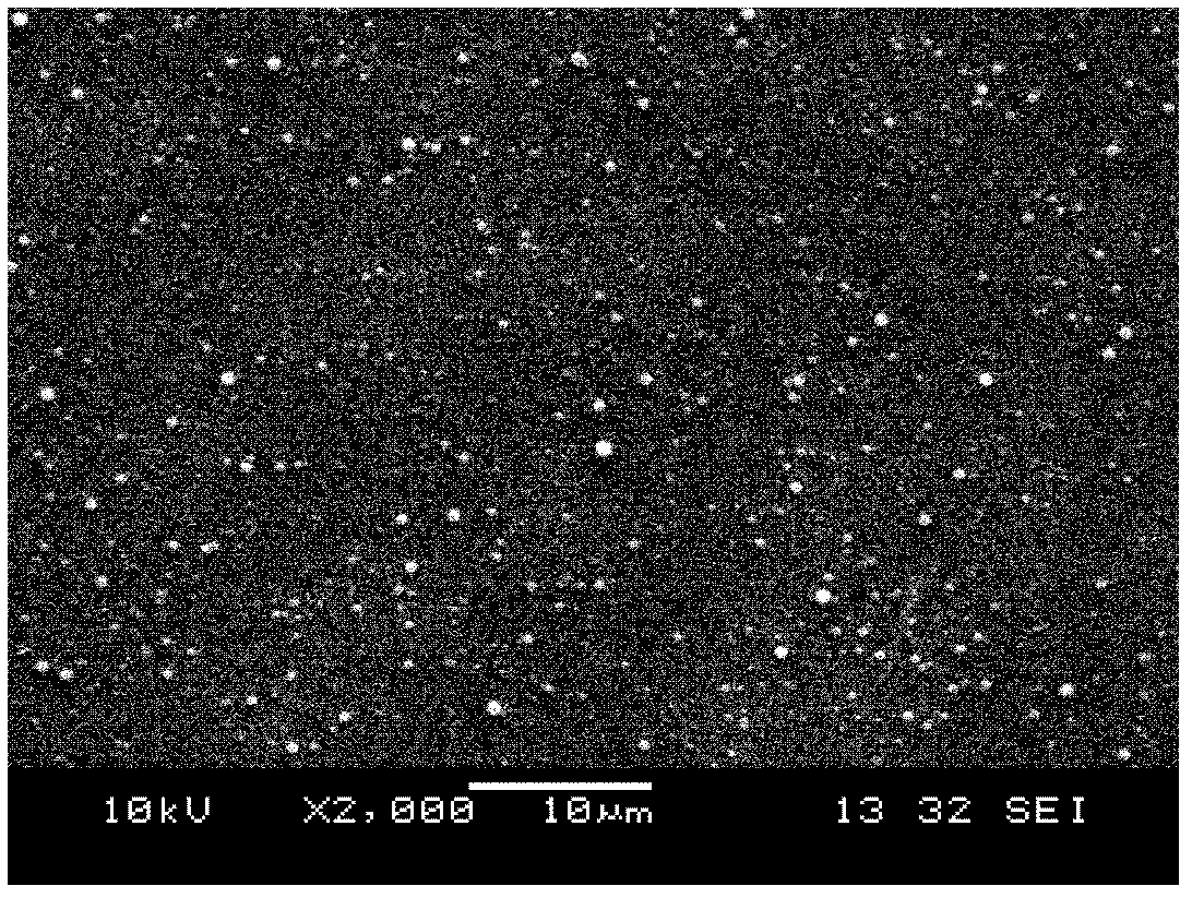 Paclitaxel polymer nanoparticle and preparation method