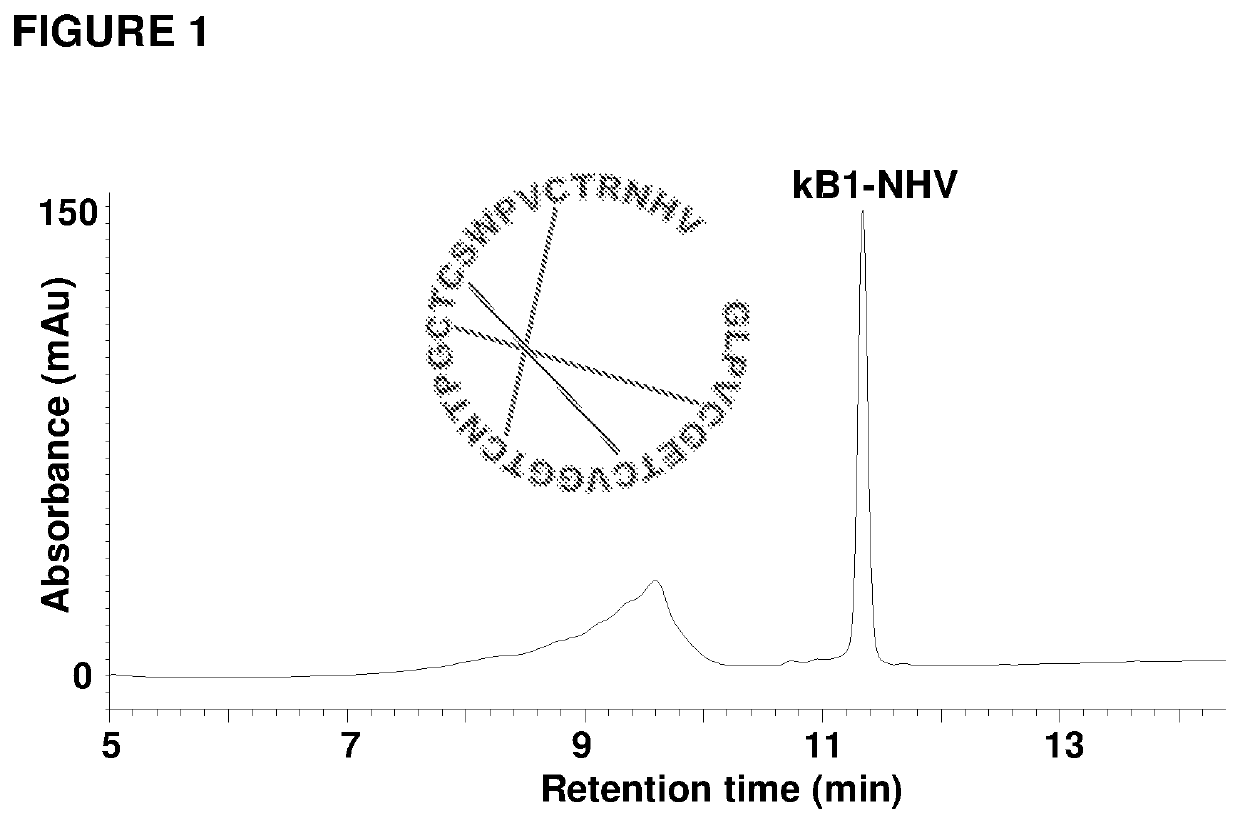 Asx-specific protein ligase