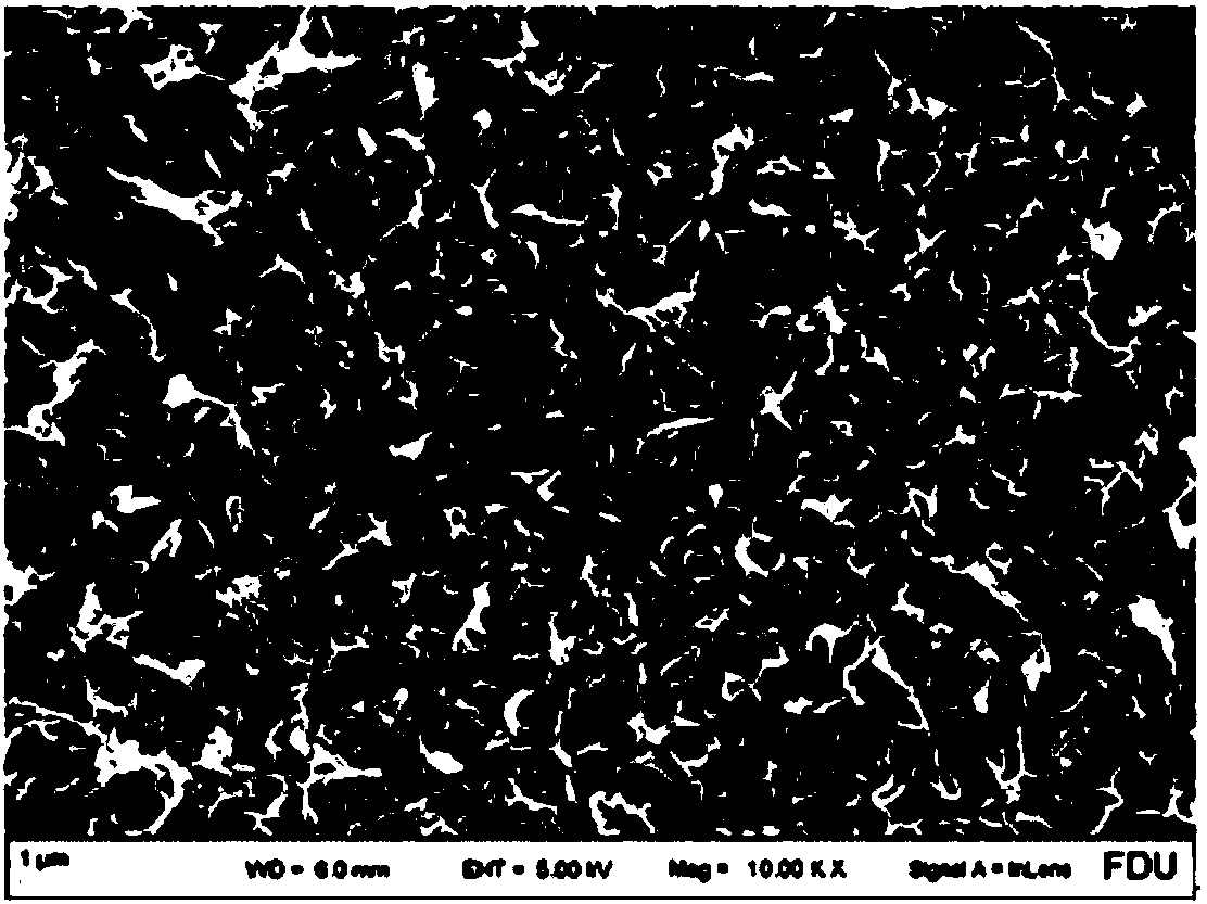 Modified wholly aromatic polyamide membrane and preparation method thereof