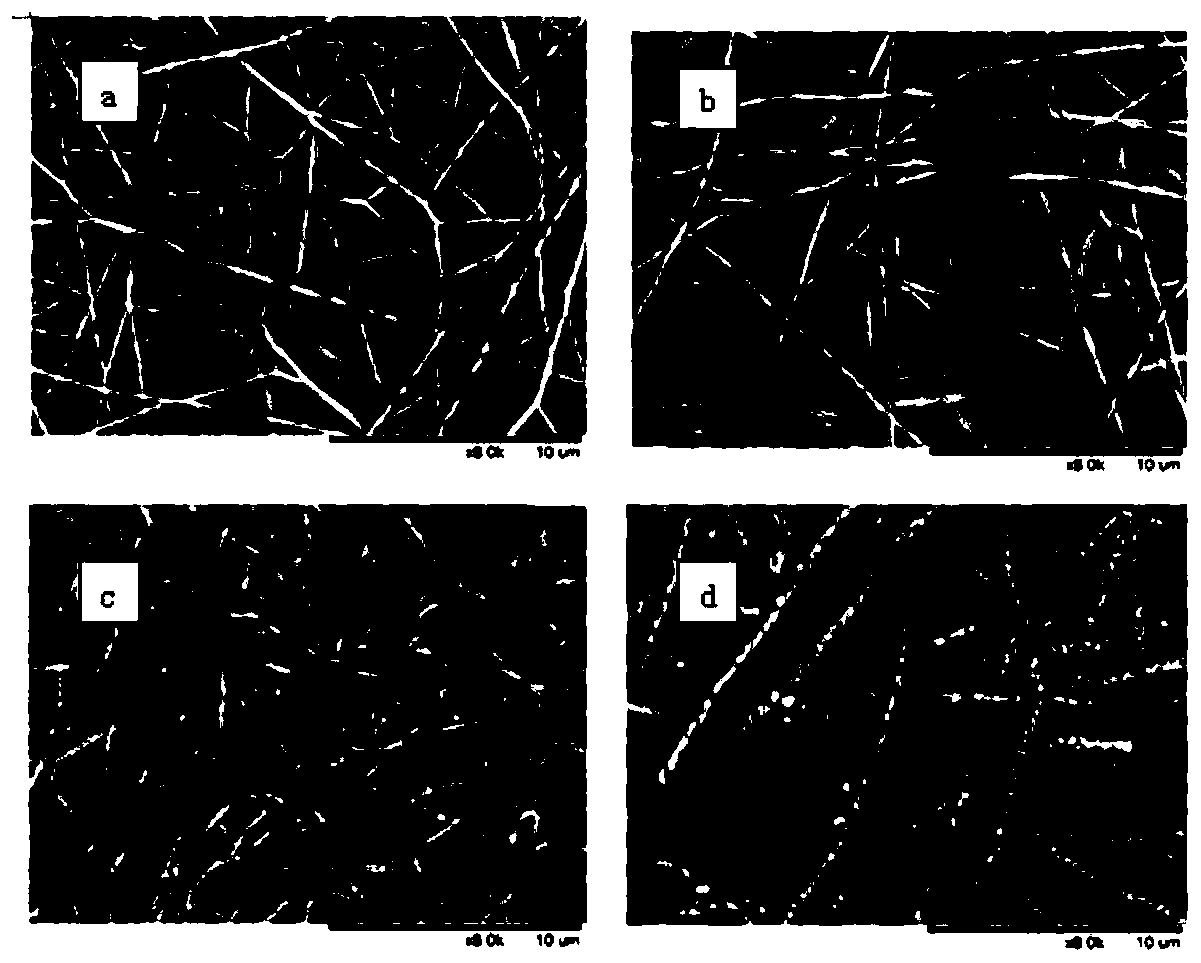 Conductive nanofiber membrane and preparation method thereof