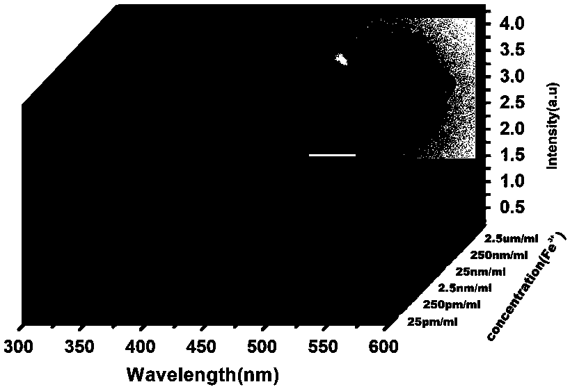 Organic fluorescent sensation probe for detecting Fe&lt;3+&gt; and preparation method, use method and application of organic fluorescent sensation probe