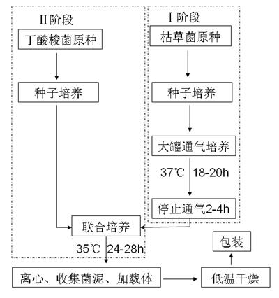 Preparation and use of bacillus subtilis and clostridium butyricum composite bacterial preparation