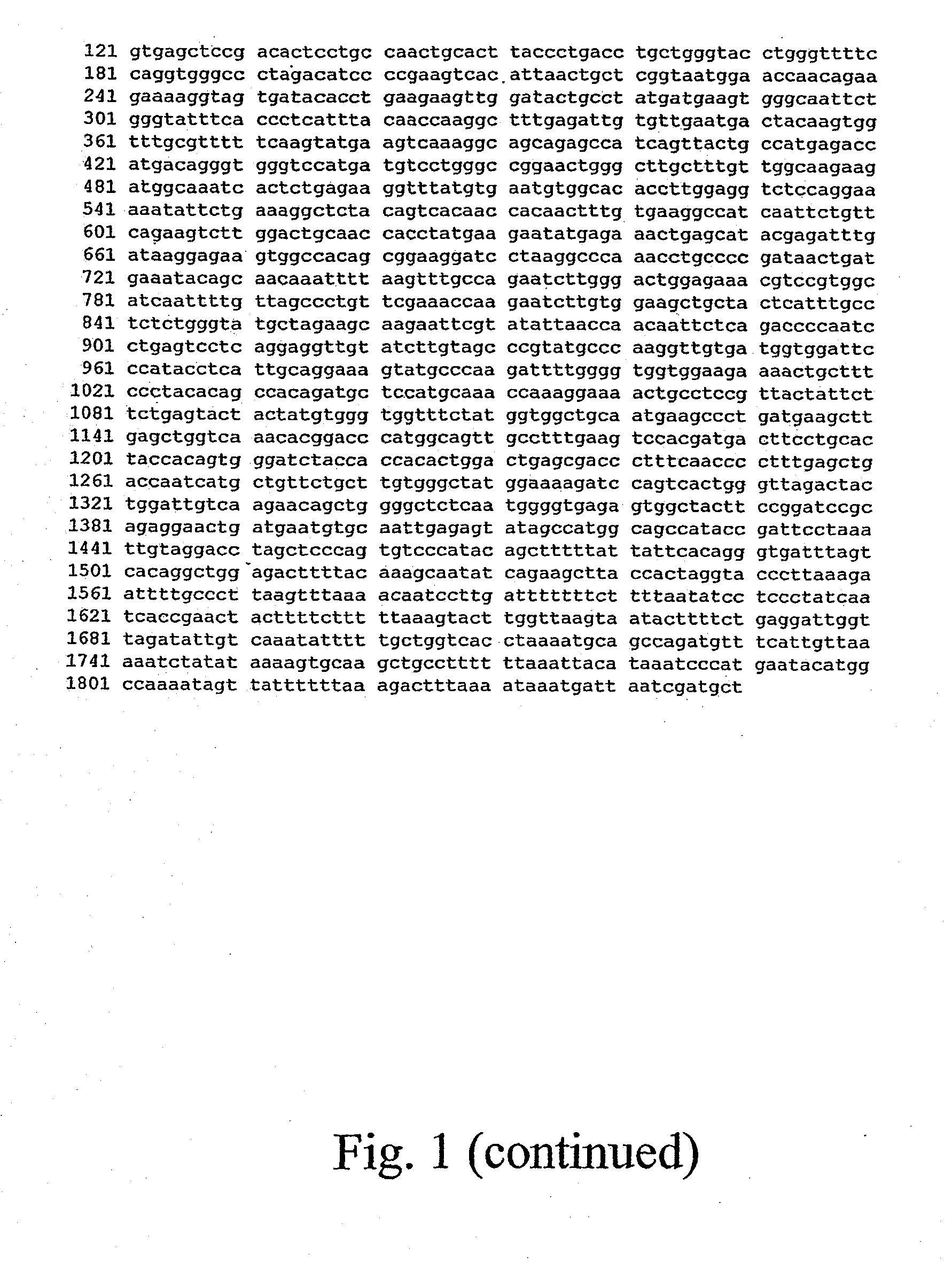 Rat cathespin dipeptidyl peptidase i (DPPI): crystal structure and its uses