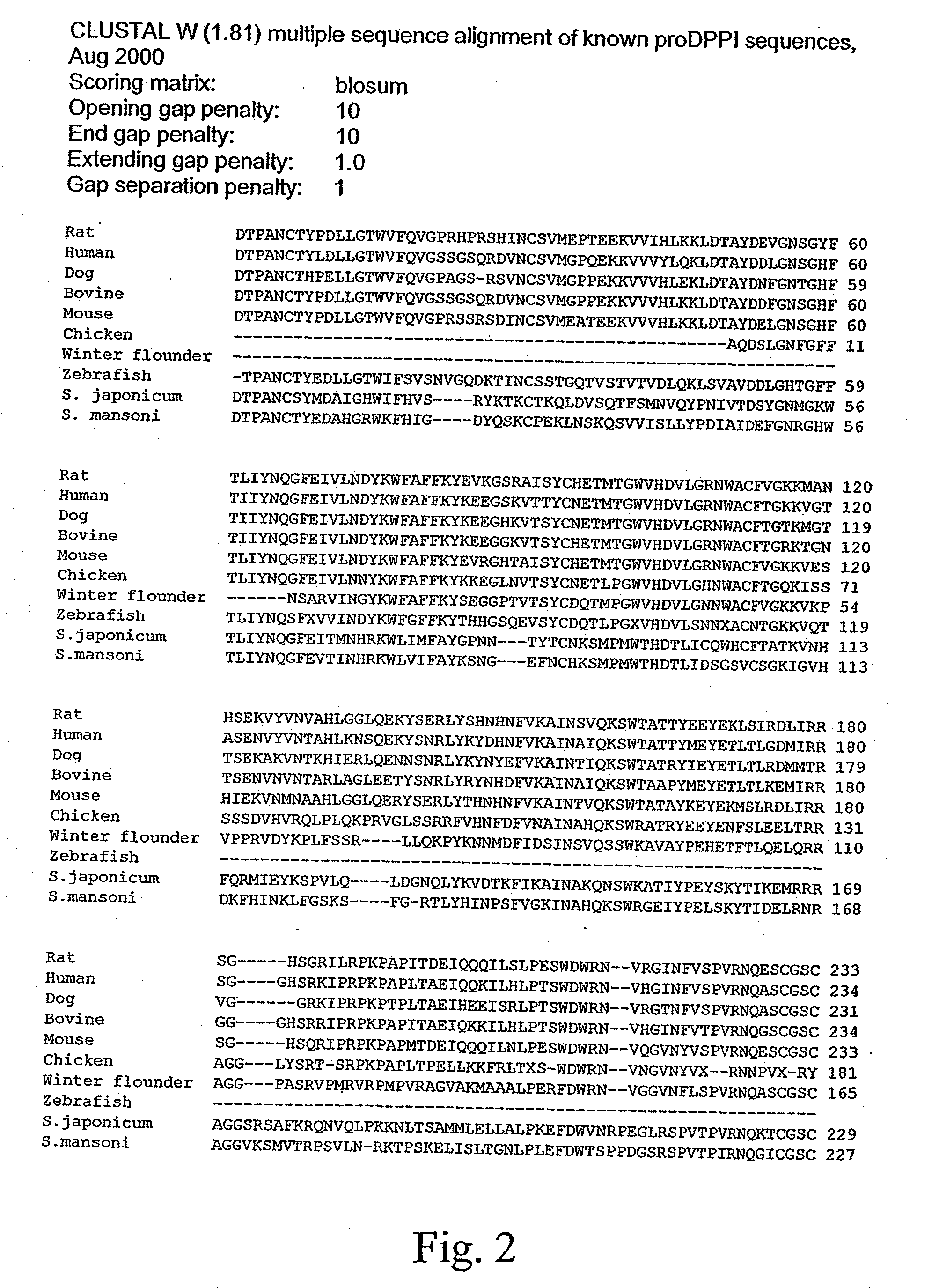 Rat cathespin dipeptidyl peptidase i (DPPI): crystal structure and its uses