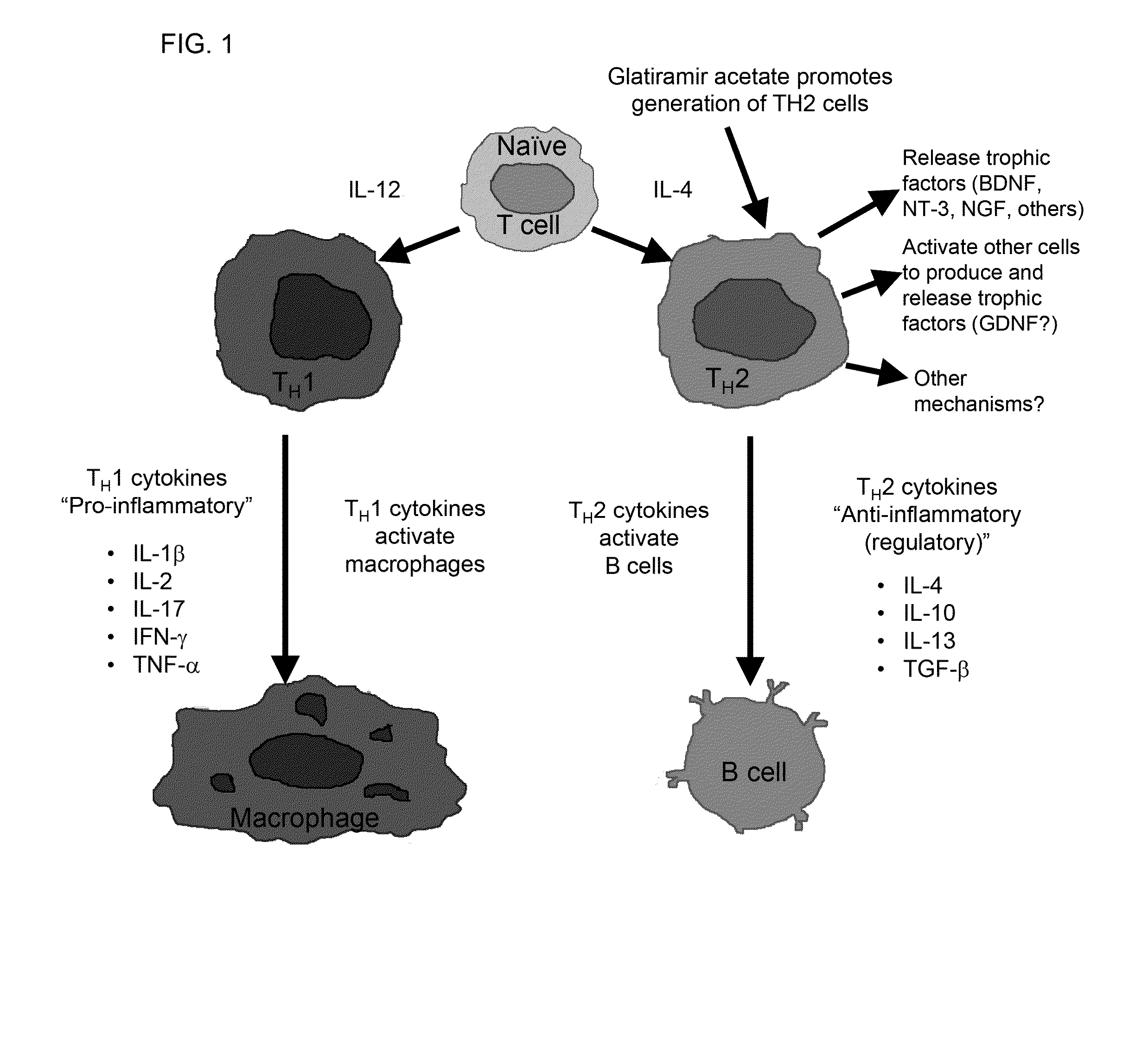 Treatment of noise induced hearing loss