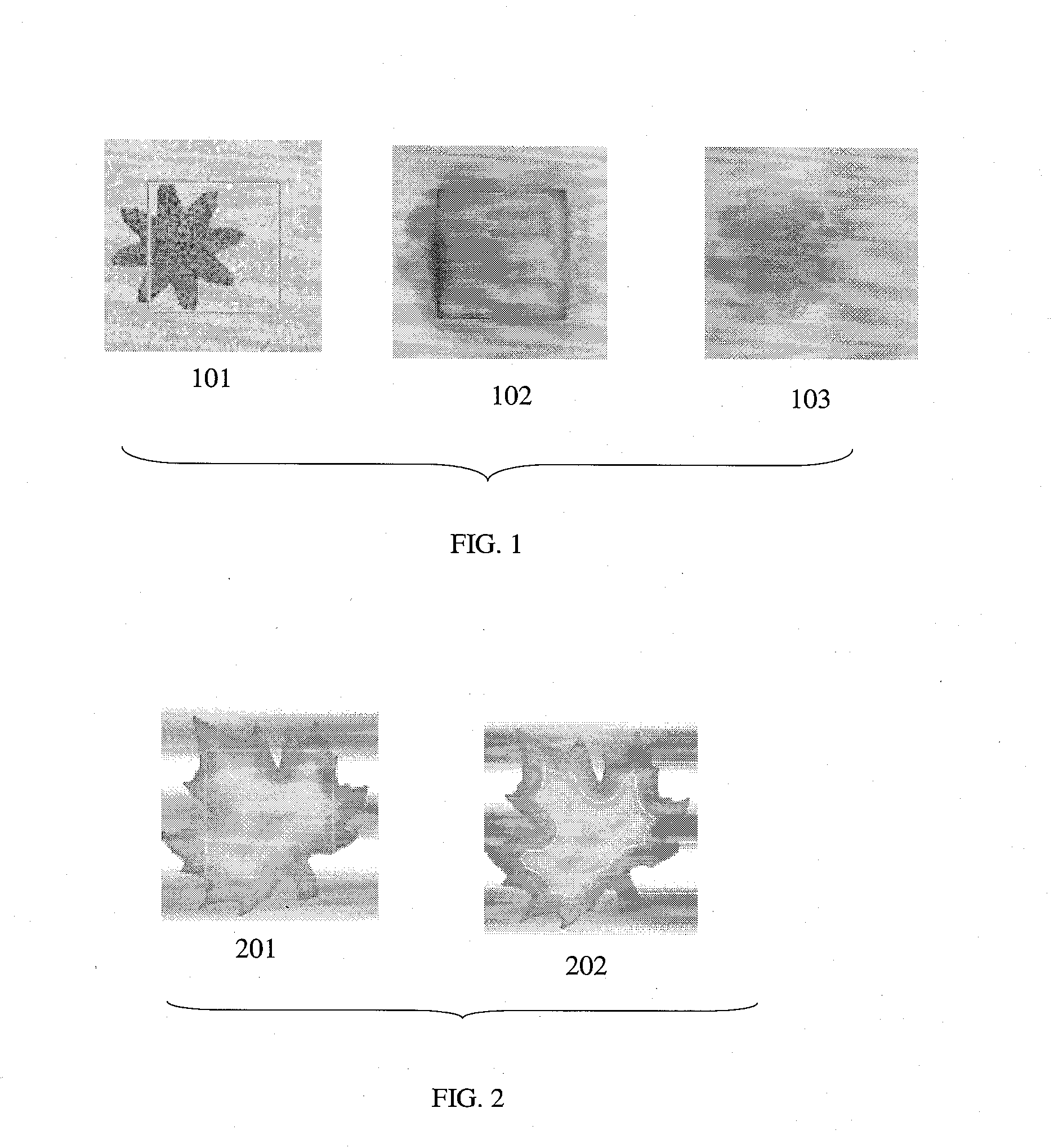 Efficient segmentation of piecewise smooth images