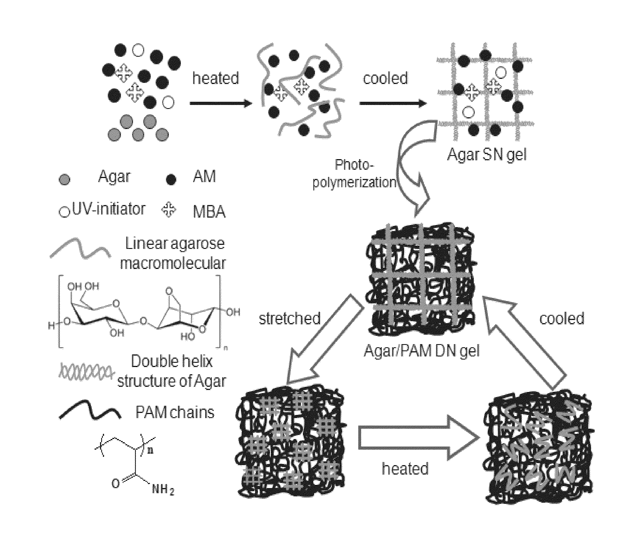 One-pot synthesis of highly mechanical and recoverable double-network hydrogels