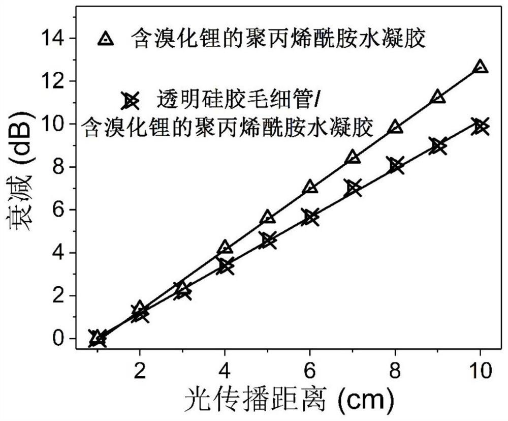 A flexible and stretchable hydrogel optical fiber sensor and its preparation and application