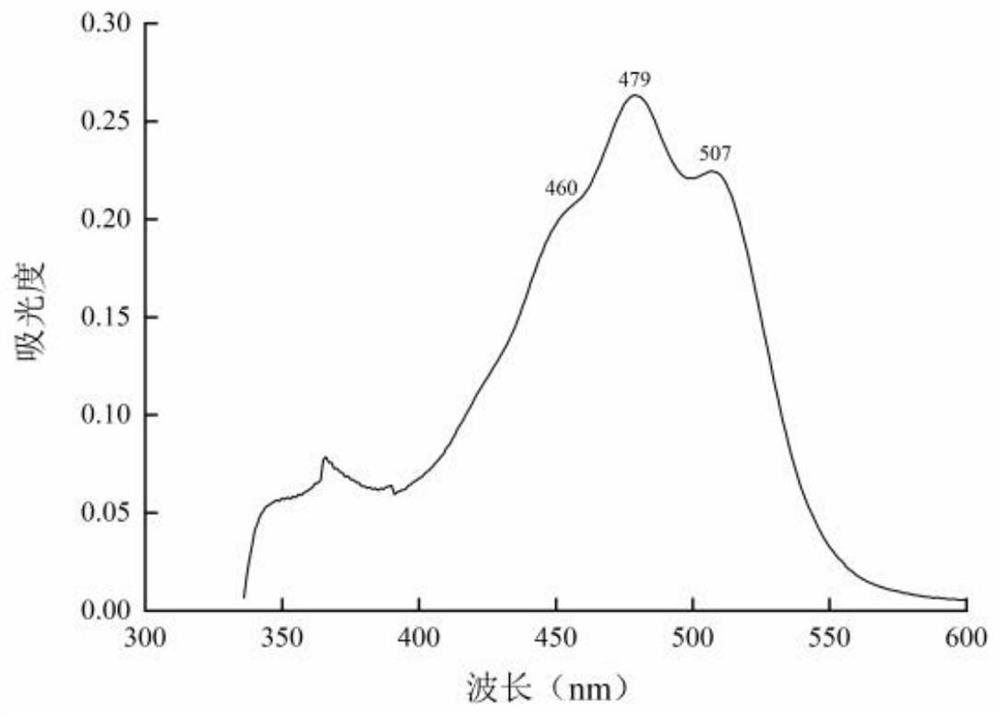 Gordonia rubripertincta, application and pigment production method