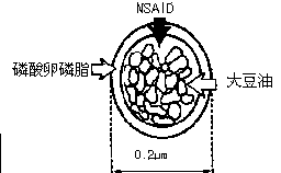 Novel 2-(2-fluorine-4biphenyl)-propionic acid pharmaceutical composition